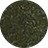 Coolepark Tweed Coat - Loden
